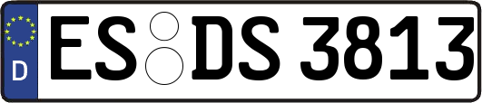 ES-DS3813