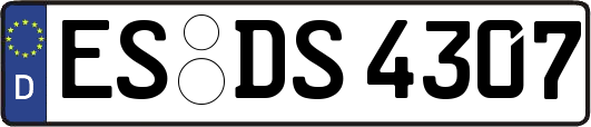 ES-DS4307