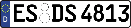 ES-DS4813