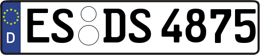 ES-DS4875