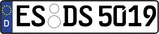 ES-DS5019