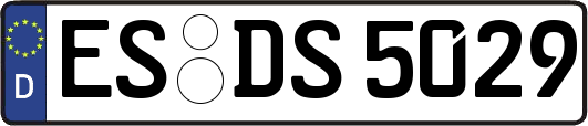 ES-DS5029