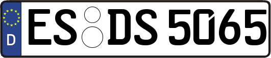 ES-DS5065