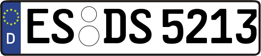 ES-DS5213