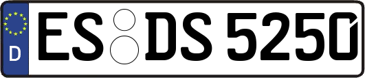 ES-DS5250