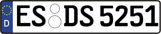 ES-DS5251