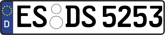 ES-DS5253