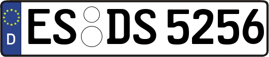 ES-DS5256