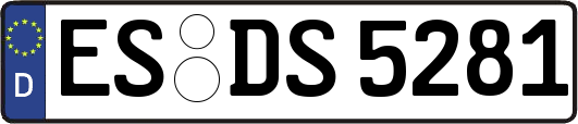 ES-DS5281
