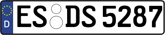 ES-DS5287