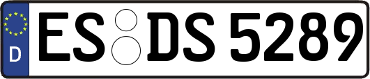 ES-DS5289