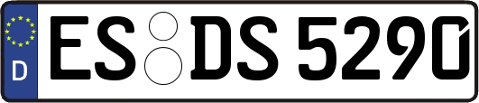 ES-DS5290