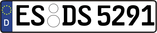 ES-DS5291