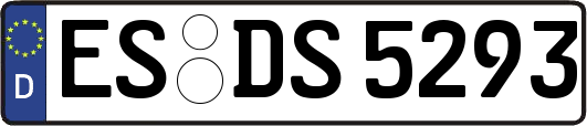 ES-DS5293