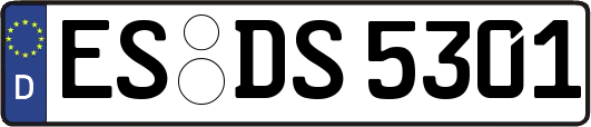 ES-DS5301