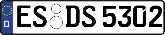 ES-DS5302