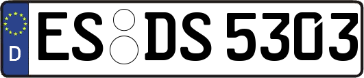 ES-DS5303