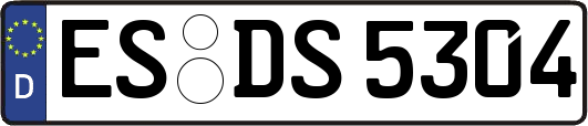 ES-DS5304