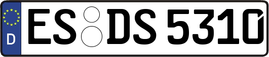 ES-DS5310