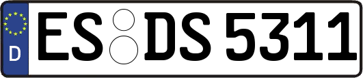 ES-DS5311