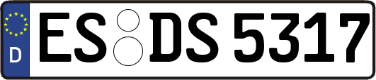 ES-DS5317