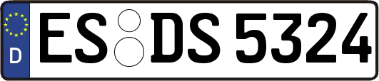 ES-DS5324