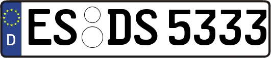 ES-DS5333
