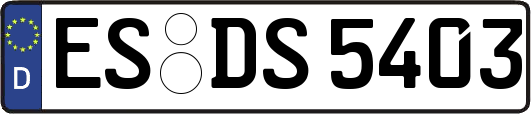 ES-DS5403