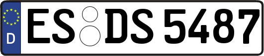 ES-DS5487