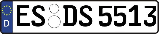 ES-DS5513