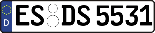 ES-DS5531