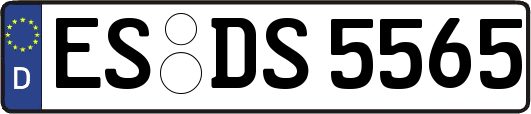 ES-DS5565