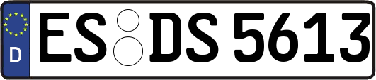 ES-DS5613