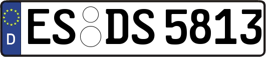 ES-DS5813