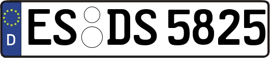 ES-DS5825