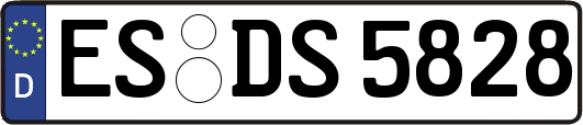 ES-DS5828
