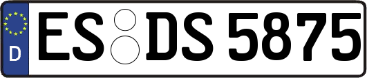 ES-DS5875