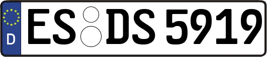 ES-DS5919