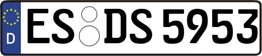 ES-DS5953
