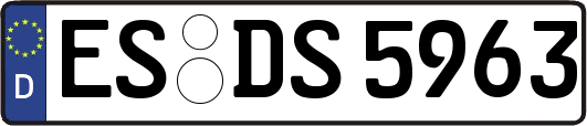 ES-DS5963