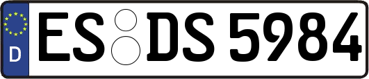 ES-DS5984