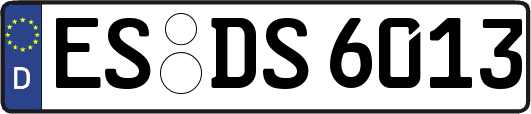 ES-DS6013