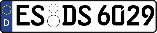ES-DS6029