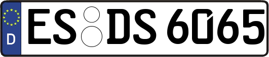 ES-DS6065