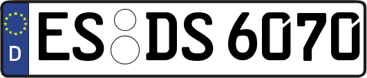 ES-DS6070