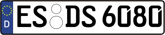 ES-DS6080