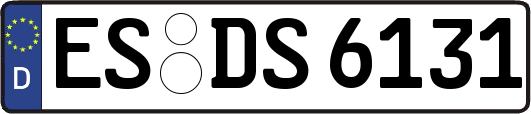 ES-DS6131