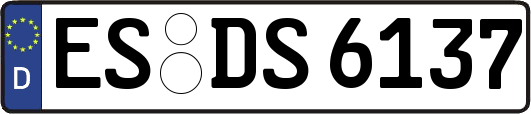 ES-DS6137