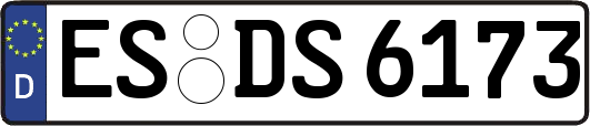 ES-DS6173