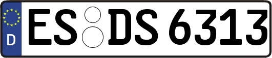 ES-DS6313